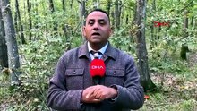 Doğanın en tehlikeli lezzetinin izindeler... Burası İstanbul'a sadece 2,5 saat mesafede...