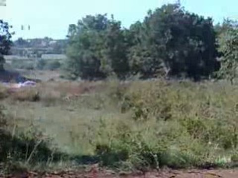 Rallye terre des Causses 2008 Richard Frau Lancer Evo 9