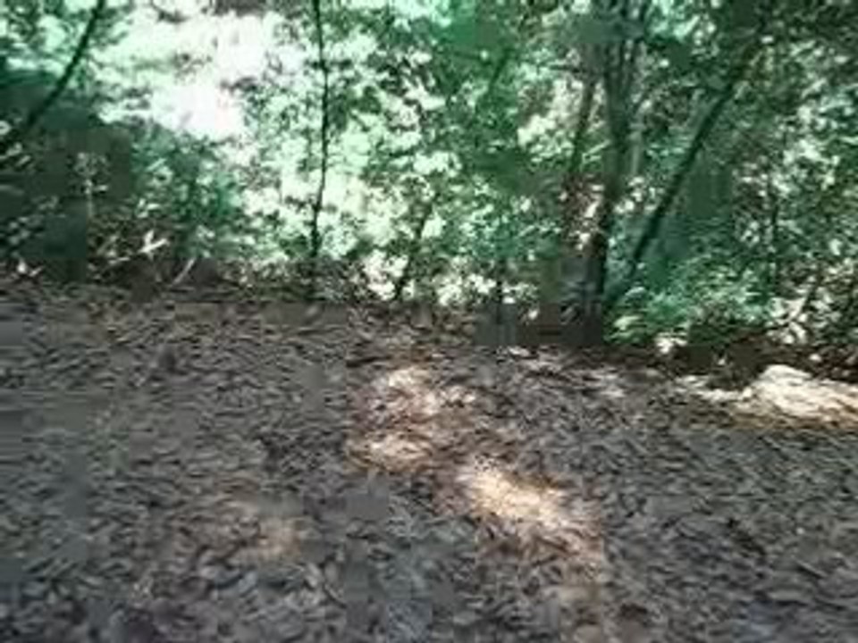 RMOV0417