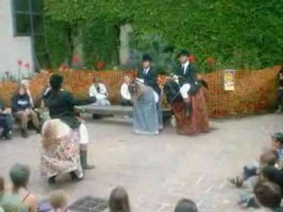 festival d'arts de rue à aurillac 2008, cheveaux en folie 2