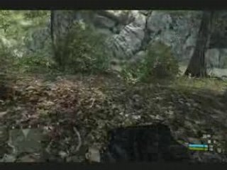 Crysis Very high DX10
