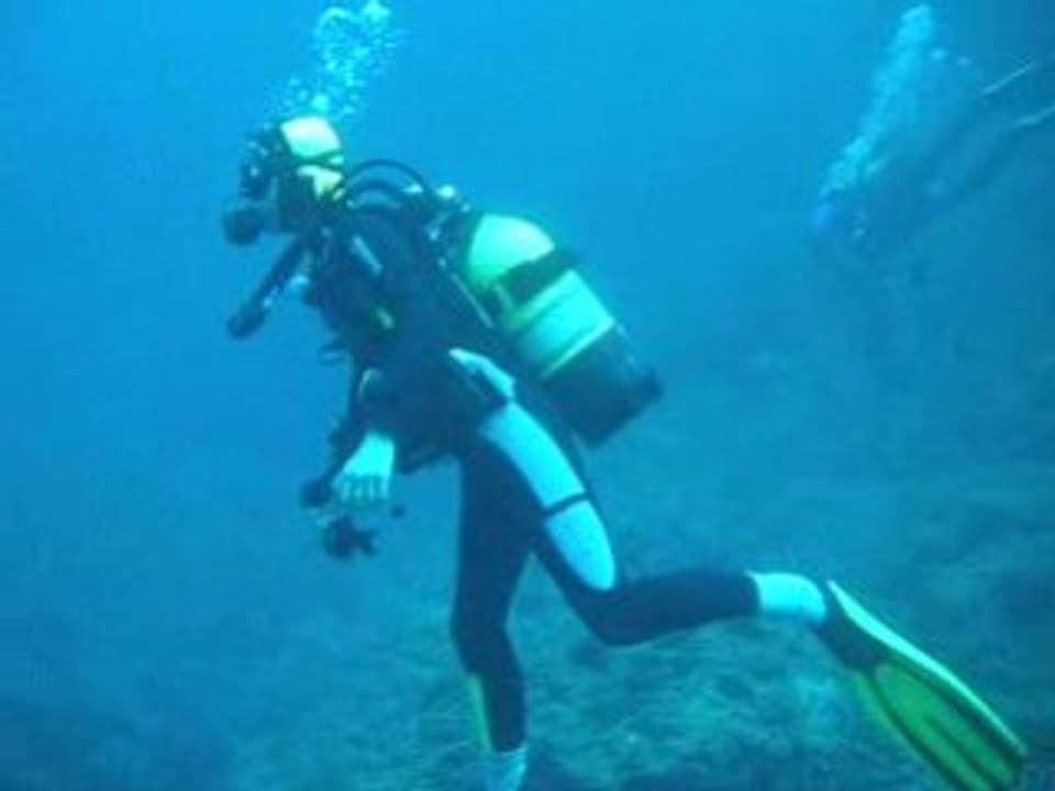 plongée iles Medes