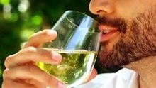 DISSAPORE SOCIAL Vini Fruttati Secchi Spiegazione STANDUP Luciano V2