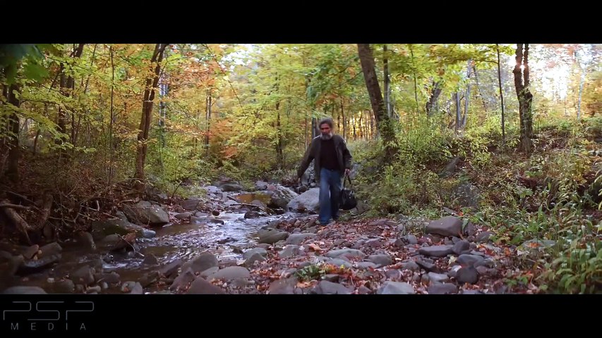The Forest Hills Festival Cut | movie | 2024 | Official Trailer