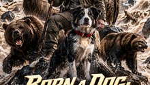 Born a Dog: The Disaster Sentinel
