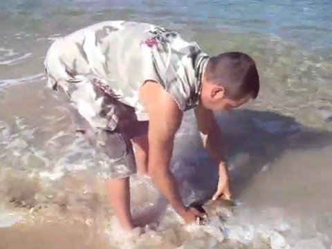 Peche en surfcasting et release d'une Raie Aigle
