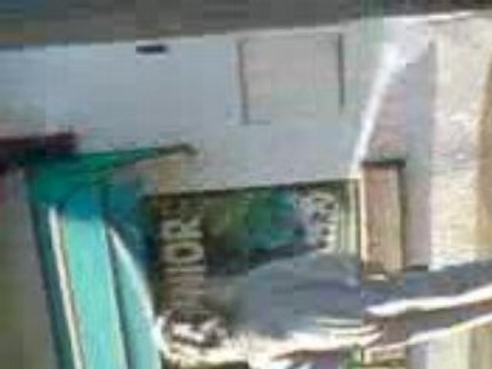 MOV00352