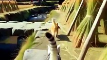 「カラス注意」の看板の前で、茶々が干物を置いてしまった【銀と茶々】#shorts