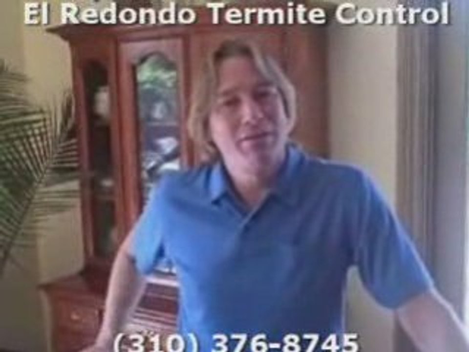Video Find Termite Company in Redondo Beach El Redondo ...