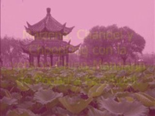 40 Principales: Pegao a Facebook Chino