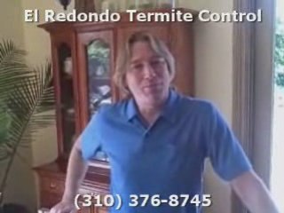Locate termite Companies in Lomita Andy's Termite Video ...