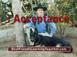 Dog Training Best Friends Learning Together the book by ...