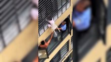 12. Kattan sarkan küçük kızı komşular kurtardı! Facianın eşiğinden dönüldü