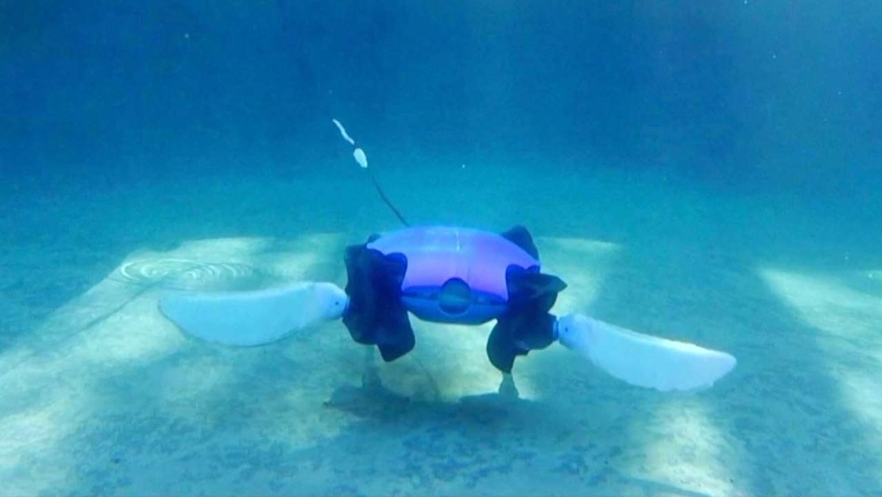 Robot that walks on land and swims hints at a new era of shape-shifting ...