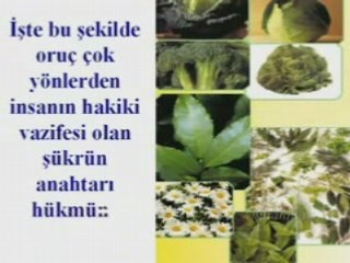 Orucun hikmetleri 1 yolyordam