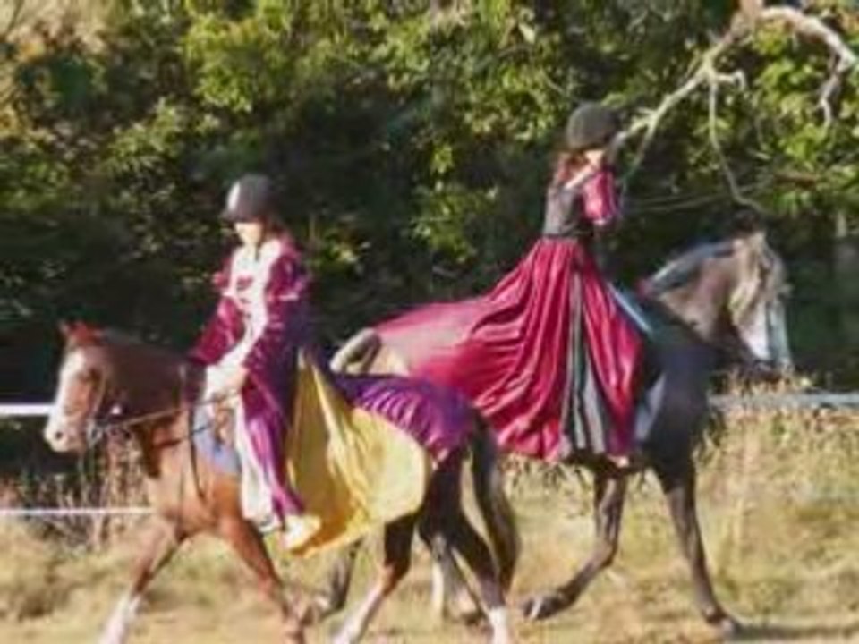 02.08.08 carousel 02.08.08