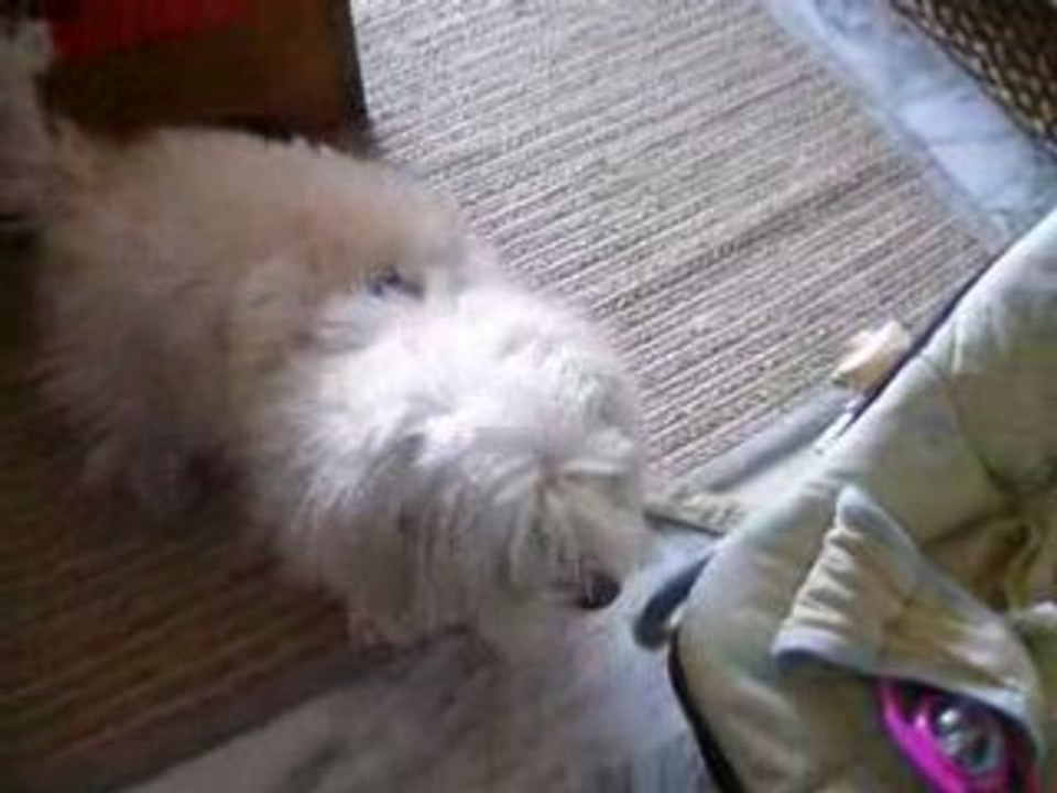 LU