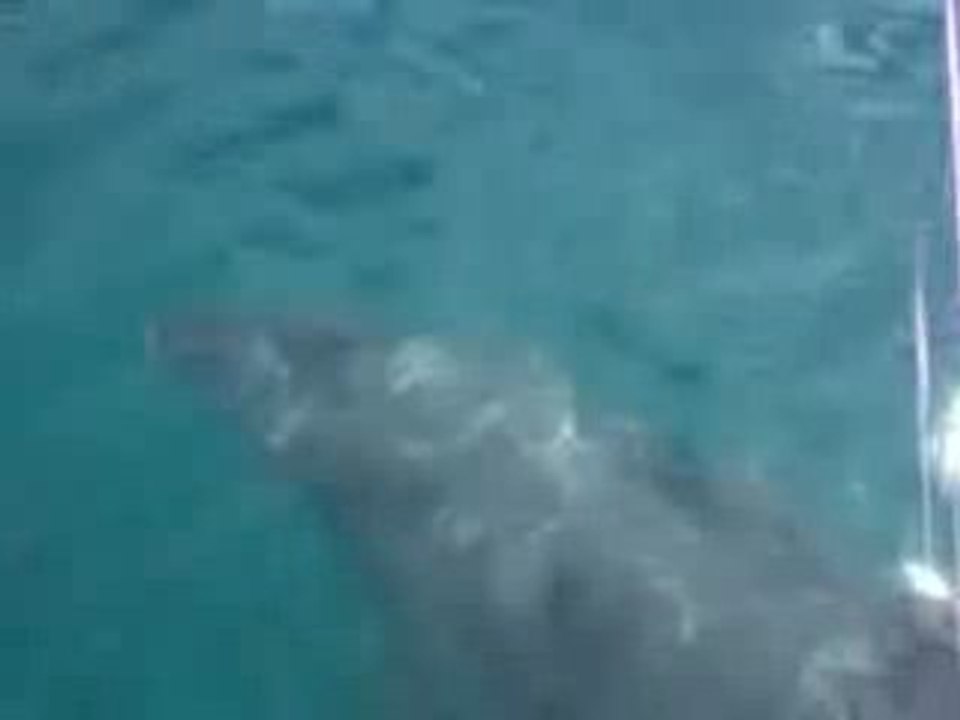 August holidays- nouméa with friends