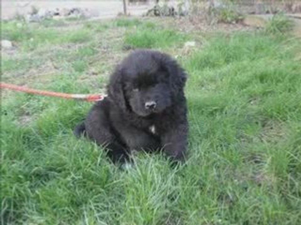 Boby 0 - 6 month