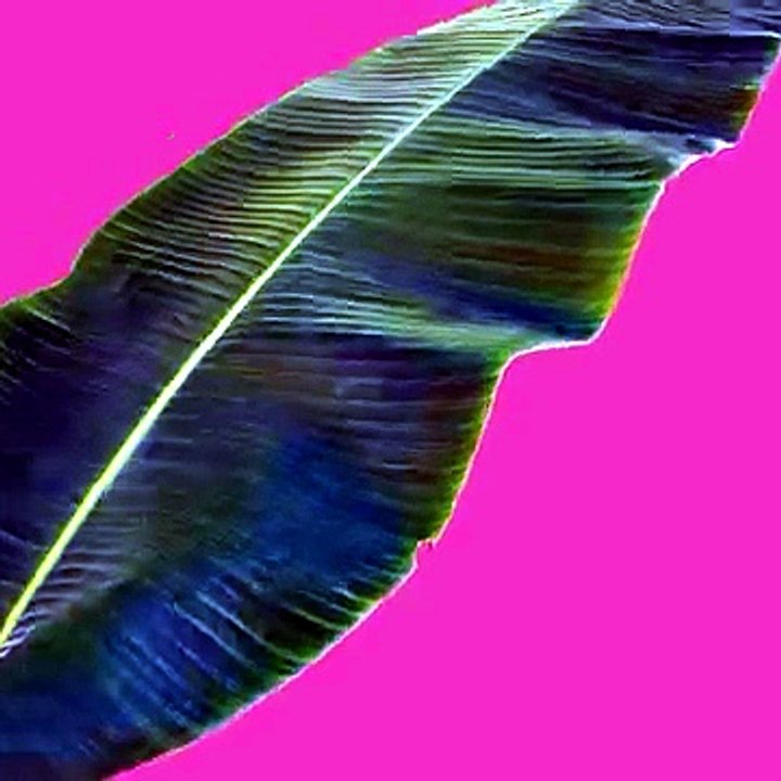 Banner animato - Video Dailymotion