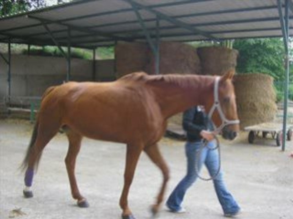 Nadia à Ezanville