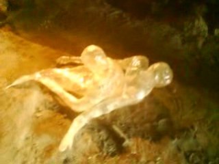 exposition jardins secrets 2