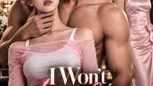 I Won't Love You Again