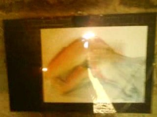 exposition jardins secrets 4