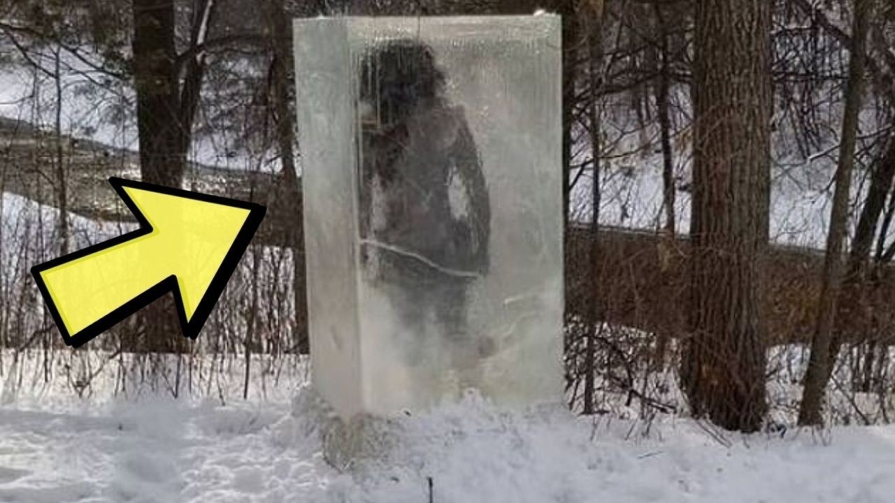Frozen Forest Mystery: Peter Finds Ancient Ice Cave Wall - video ...