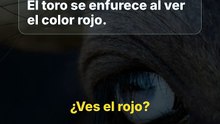 ¿El toro ve el rojo?