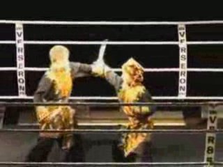 Démonstration Pencak Silat Cimande Macan Guling