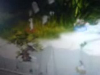 dofus faite oas teste les eca