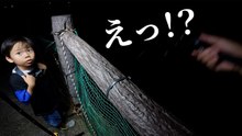 夜の堤防穴釣りでまさかの遭遇　仕掛けを落とした先に出た強い引きとカサゴ以外の反応
