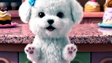 Cotton Ball Puppy's Rapid Tippy-Tap Dance! 🐾🧁