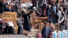 Why Are Afghan Figs Shaped Like Coins_ 😱 _shorts#shorts #shorts #shorts