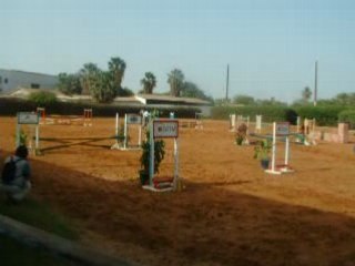 Zahrinette (concours d'équitation)