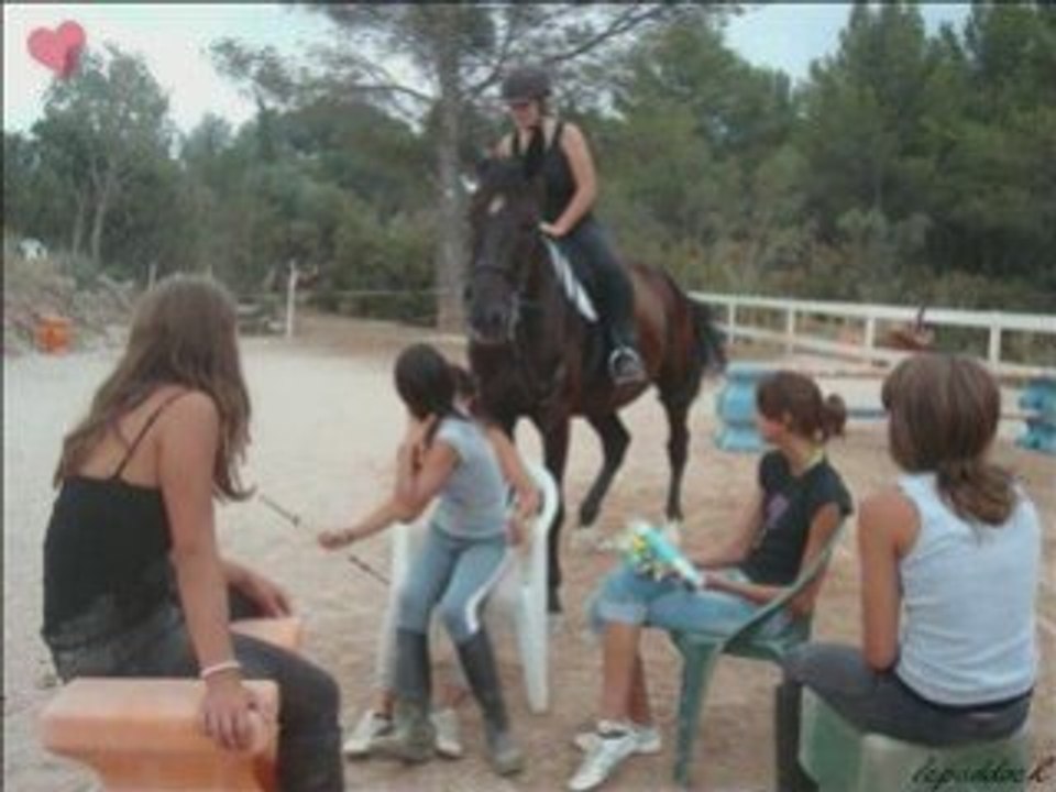 Le paddock
