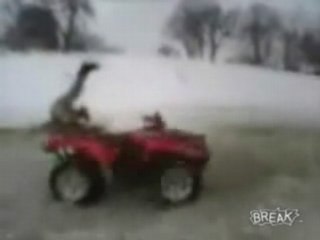 Round And Round We Go