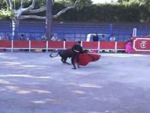 Graine de torero 2008: Caissargues