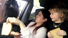 Un buffle vient manger par la fenêtre de leur voiture... flippant