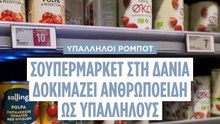 Δανία: ο μεγαλύτερος λιανέμπορος εκπαιδεύει ρομπότ για νυχτερινές βάρδιες στα σούπερ μάρκετ