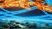 Earth’s Magnetic Shield