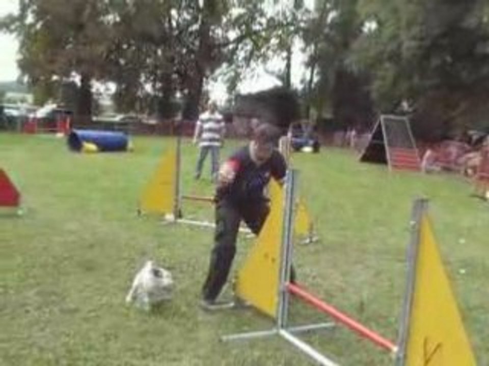 Bib distroof3