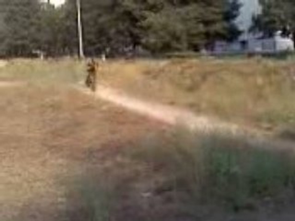 salim yohan