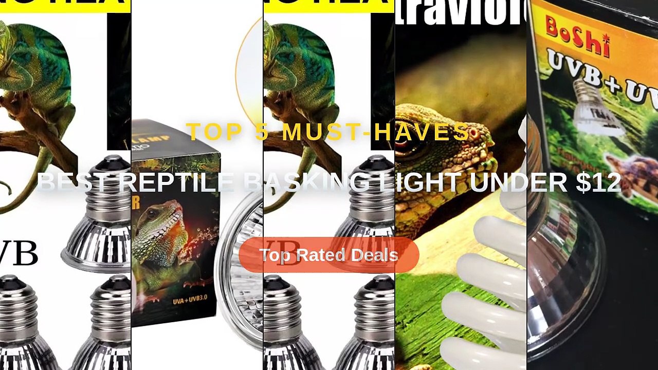 Best Reptile Basking Light Under $12 - Video Dailymotion
