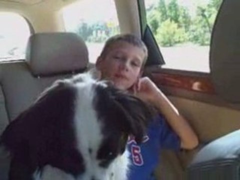 Taking our new Border Collie Rescue dog home