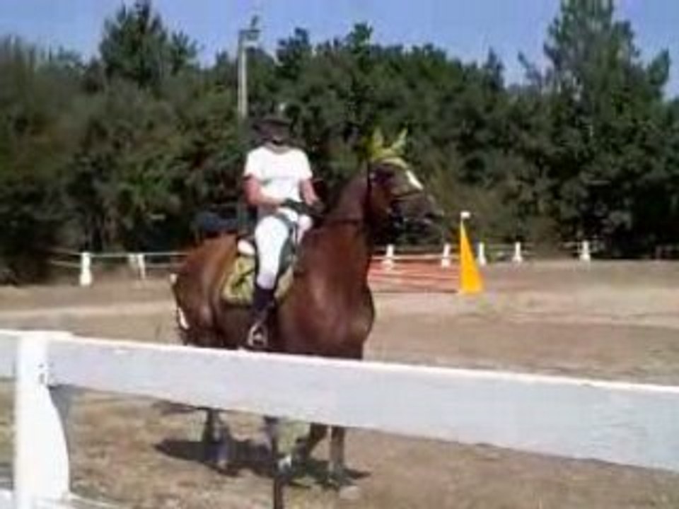 Entrée en piste tranquil