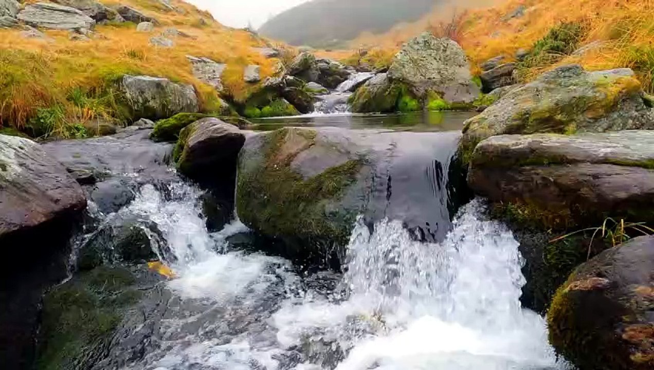 Deep Liness poetry - video Dailymotion