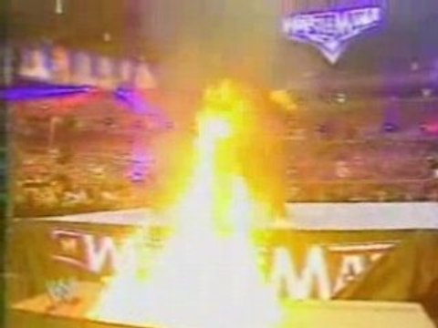 Mi superestrellas favoritas