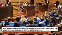 Buscan regular el cannabis medicinal y el cáñamo industrial en Misiones